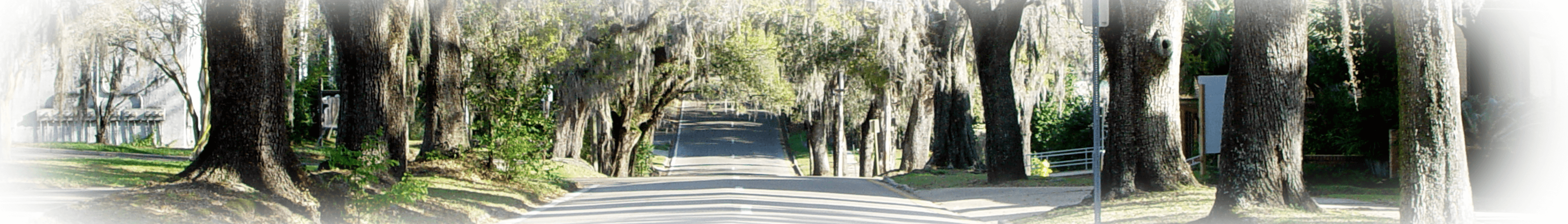Image From Tallahassee