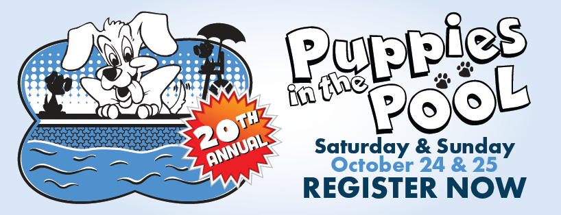 Register Now Puppies in the Pool